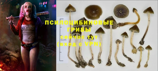 эйфоретик Заволжск